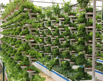 你见过这种无土栽培模式吗--螺旋仿生立柱式水培!阳台、庭院、园区.皆可种植!