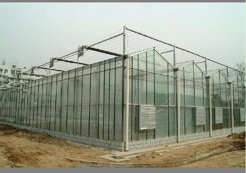 阳光板温室大棚建造费用_厂家直销的阳光板温室大棚