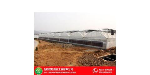 安徽温室大棚|合肥建野 在线咨询 |温室大棚建设